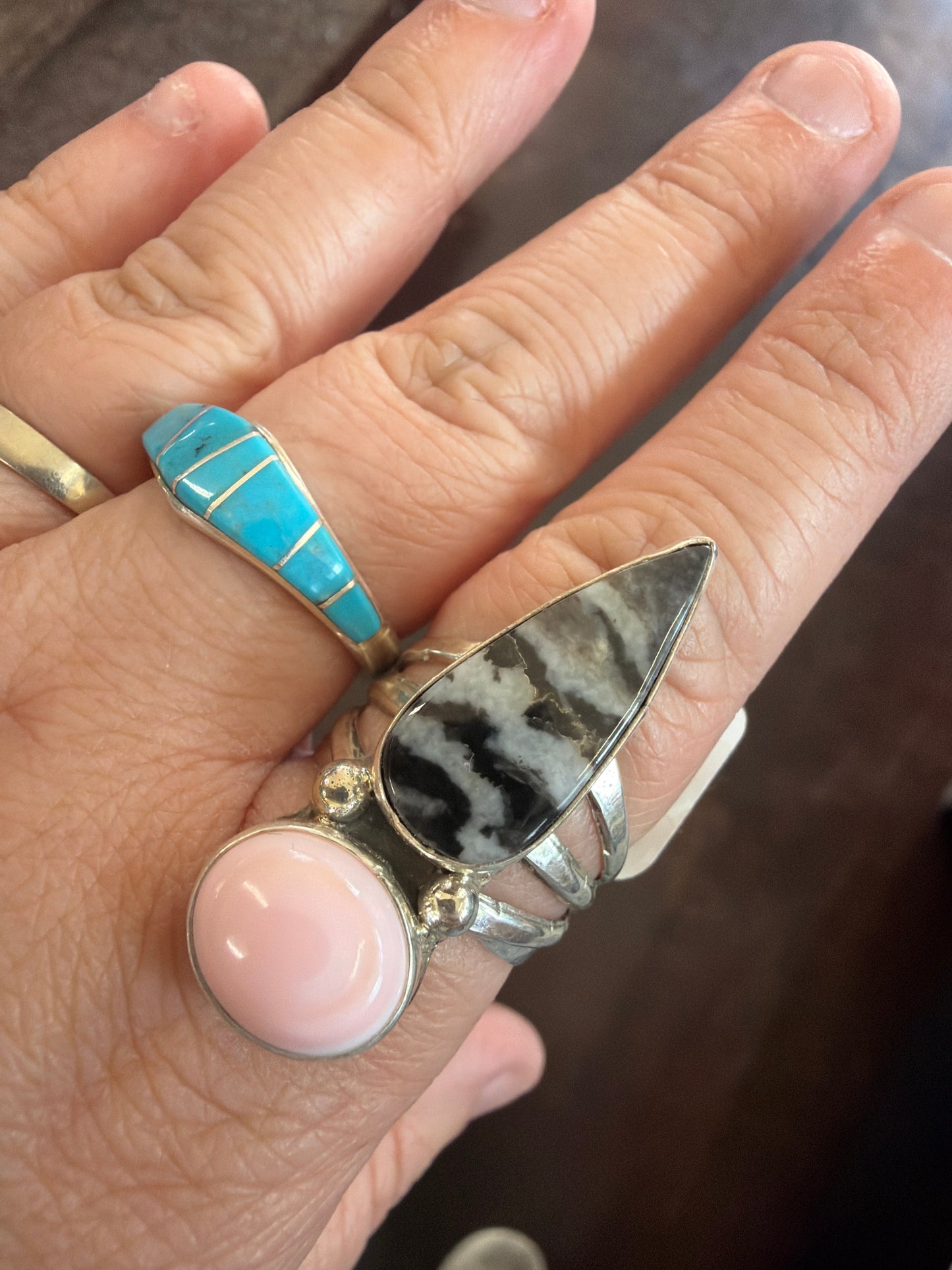 Pink conch and zebra