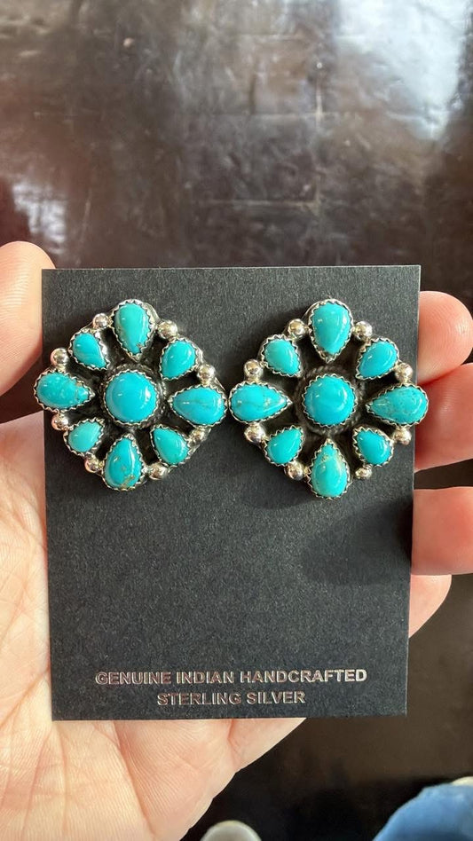 Sonoran Blue Clusters